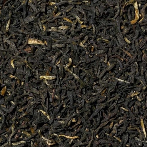Bukhial ist ein berühmter Teegarten in Nordindien - Schwarztee